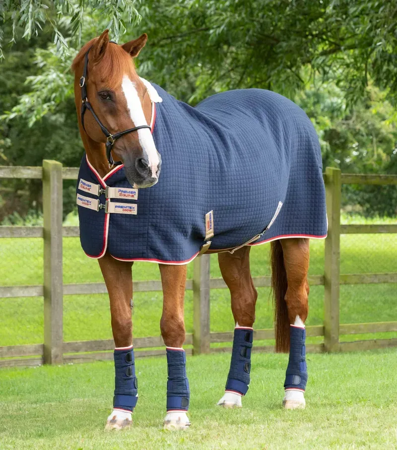Premier Equine PremTex Horse Cooler Rug in Navy