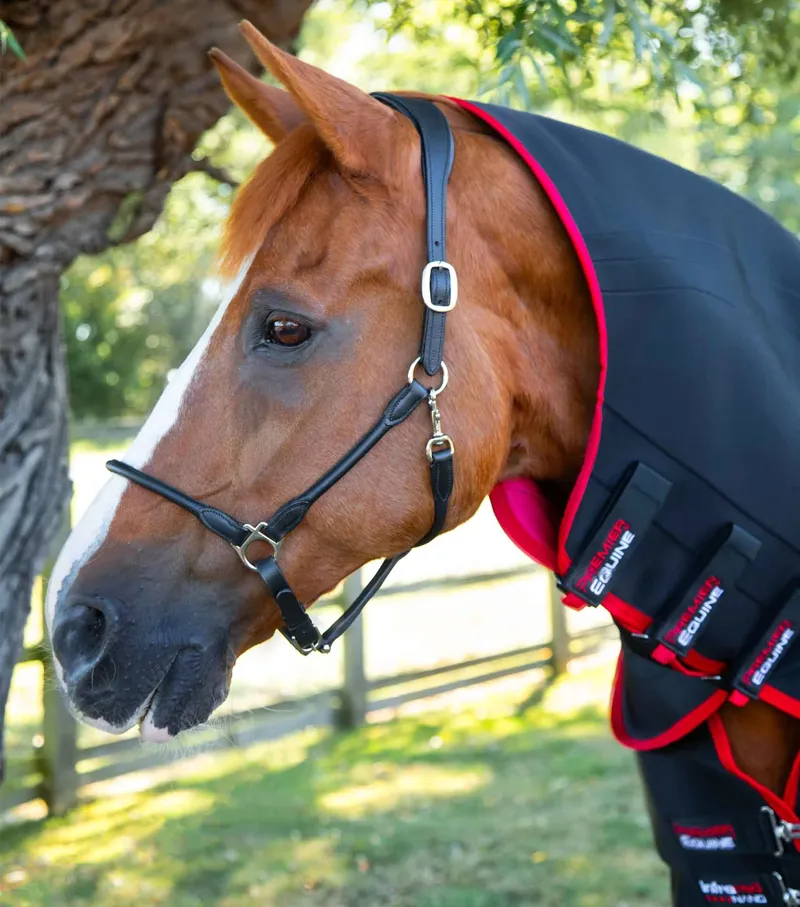 Premier Equine - Nano-Tec Infrared Horse Rug-1