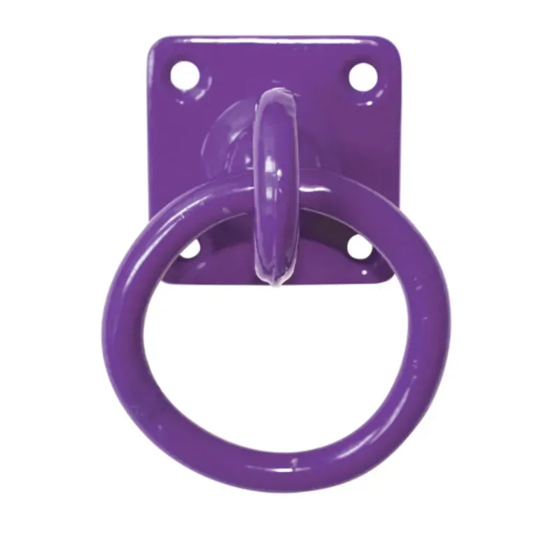 Perry Equestrian Chain Ring on Plate in Purple