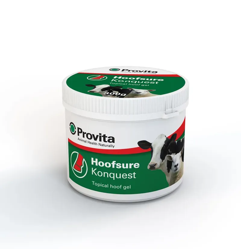 Provita 300 gm tub Hoofsure Konquest