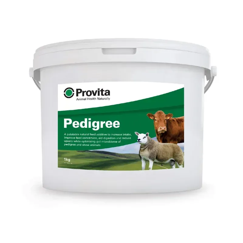 Provita 1kg Pedigree in Green