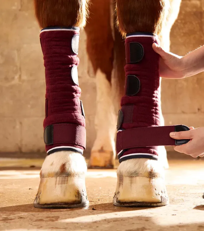 Premier Equine Quick Dry Horse Leg Wraps in Burgundy-1