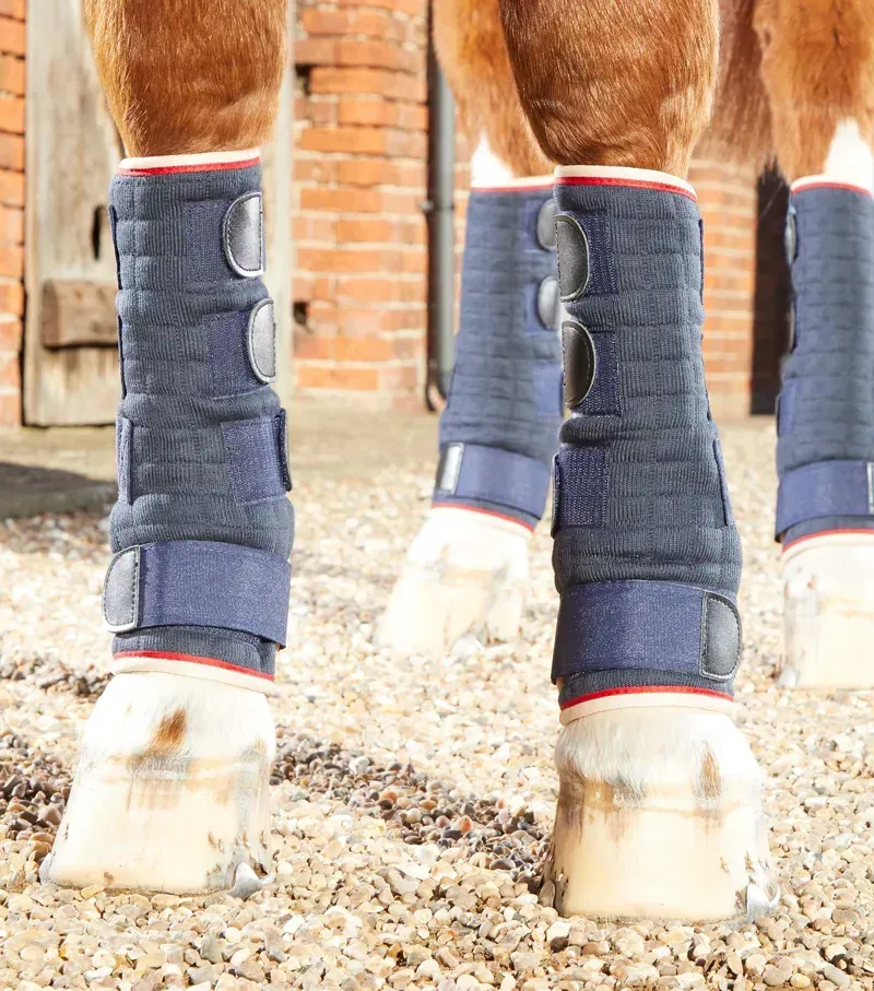 Premier Equine Quick Dry Horse Leg Wraps in Navy-3