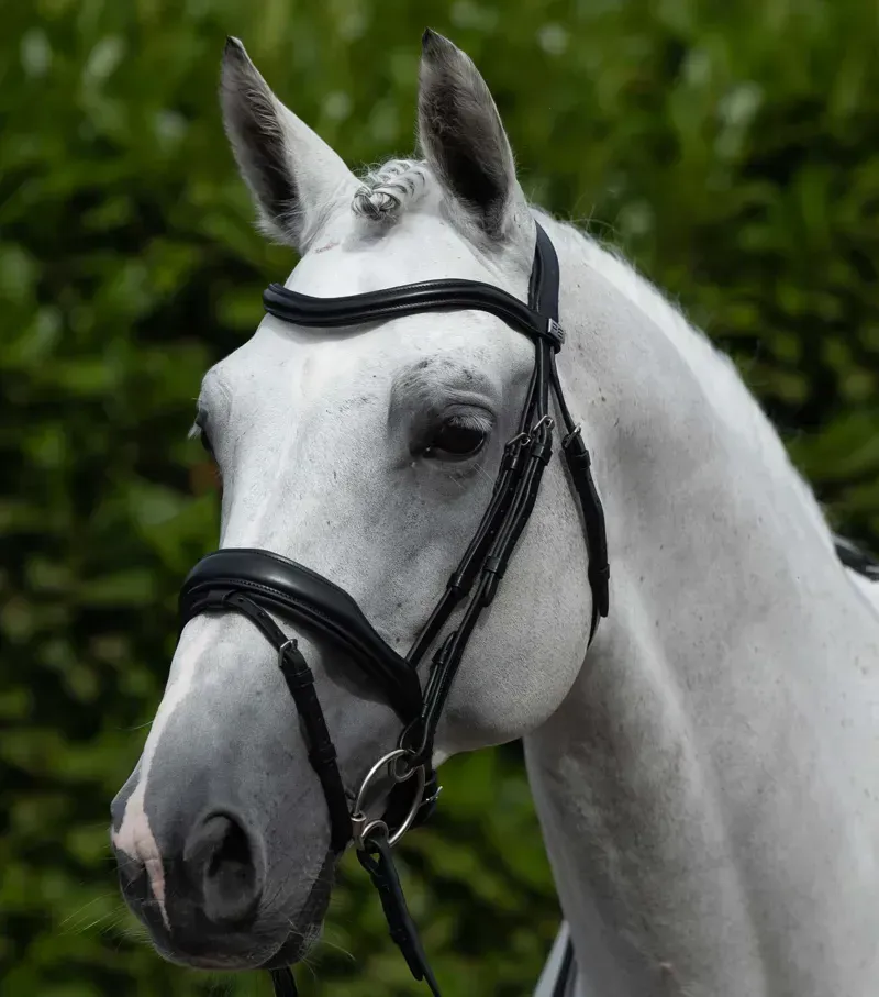 Premier Equine Cob Liscio Plain Shaped Leather Browband in Black-1
