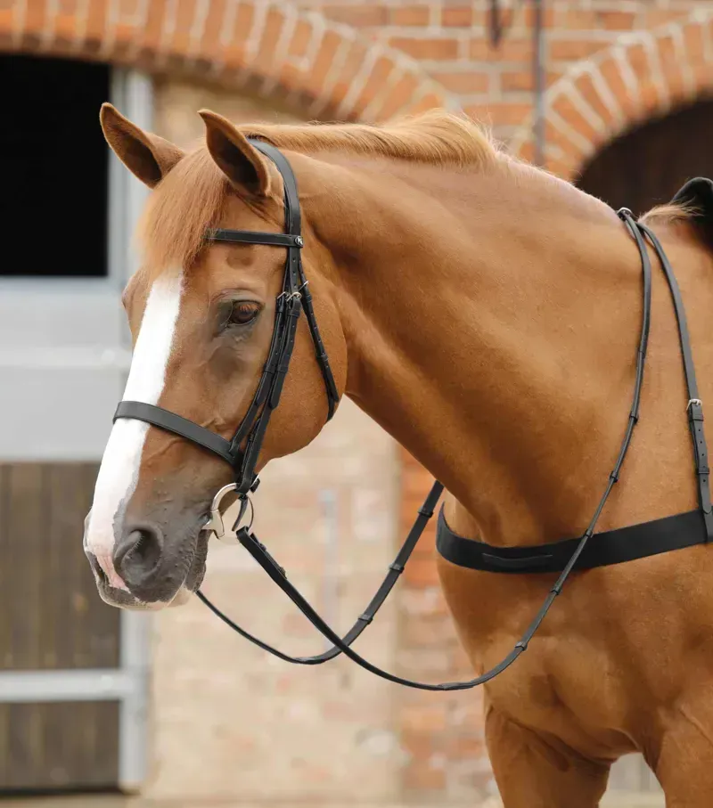 Premier Equine 5/8 Salvatore Rubber and Leather Grip Reins in Black-1