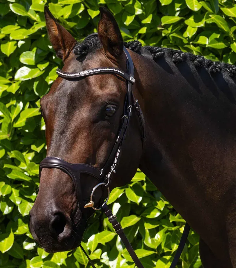 Salvatore Rubber & Leather Grip Reins / / 5/ 8 Brown f (54) 05-aug