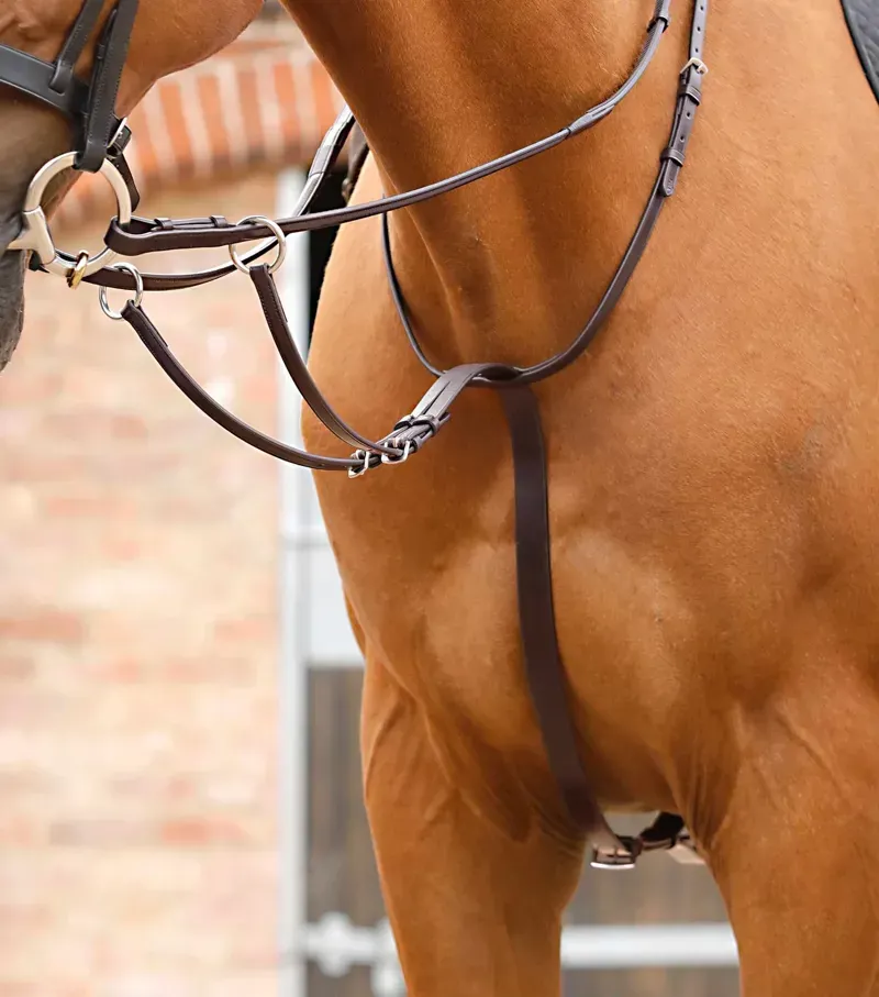 Santadi Adjustable Running Martingale / Brown