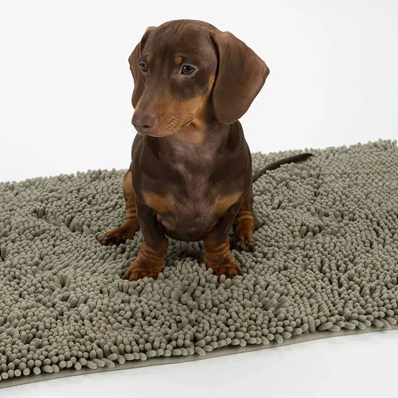 Scruffs Noodle Dry Mat in Sage Green