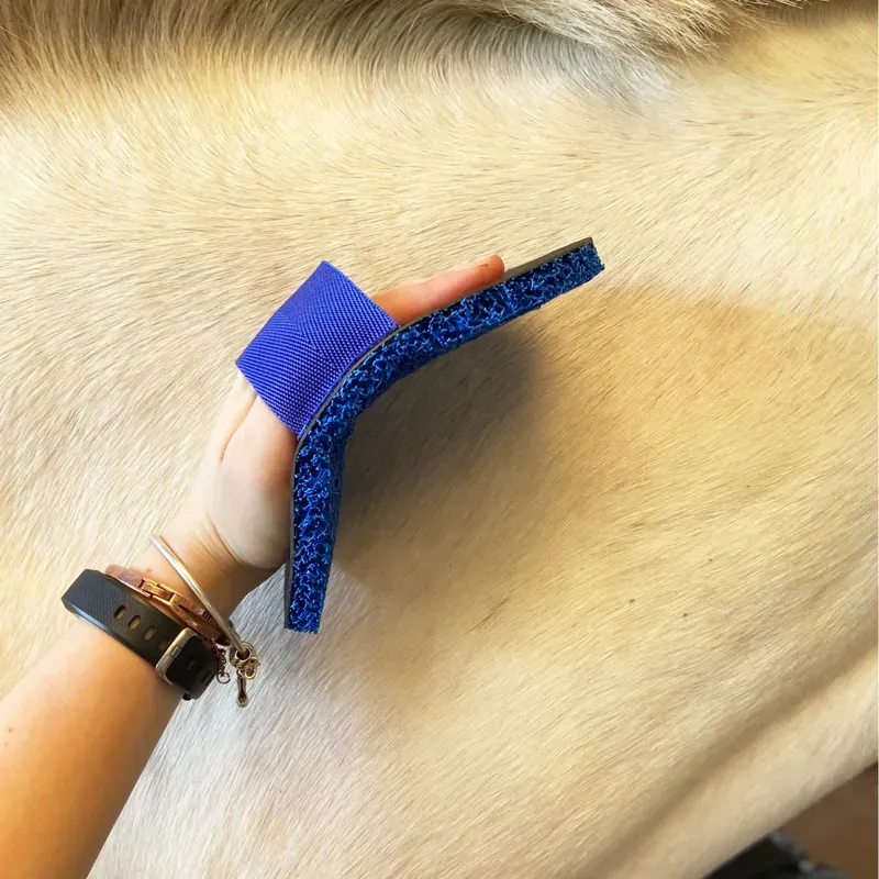 Smart Grooming Deluxe Super Groomer in Blue