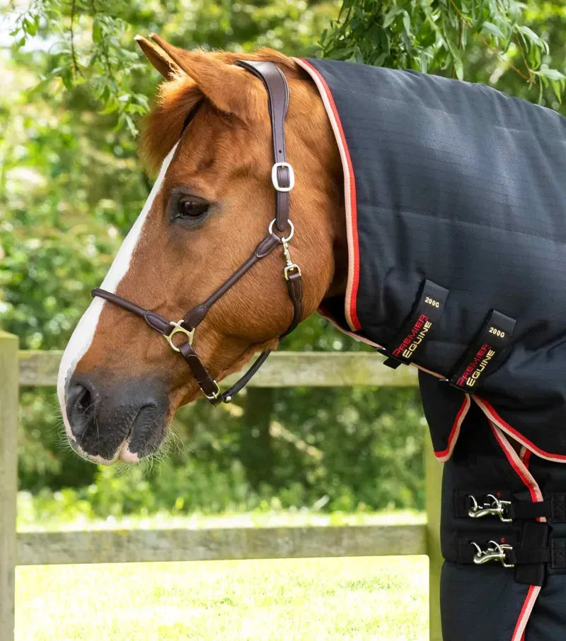 Premier Equine 450g Stable Buster Stable Rug with Neck Cover in Black-1