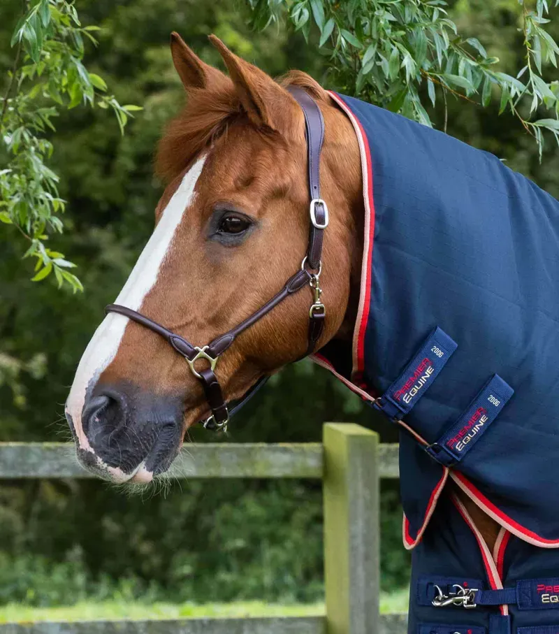 Premier Equine Stable Buster 200g 6'3 Stable Rug With Neck Cover in Navy-1