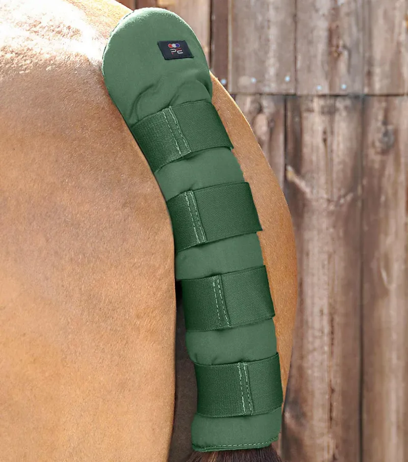 Premier Equine Stay-Up Horse Tail Guard Green