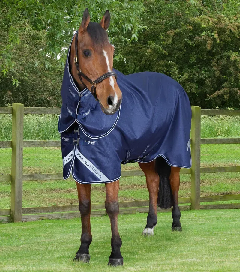Premier Equine Stratus 600D 200g Turnout Rug With Classic Neck Cover in Navy