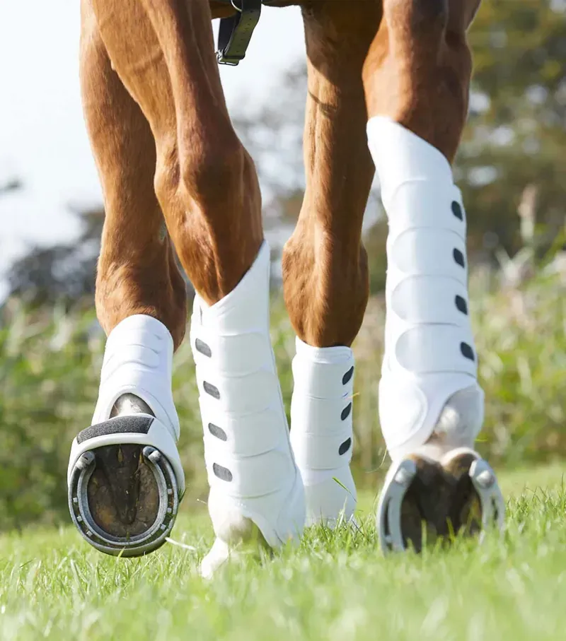 Studs Pointed For Varying Ground And Jumping (Set Of 4) / Silver-1