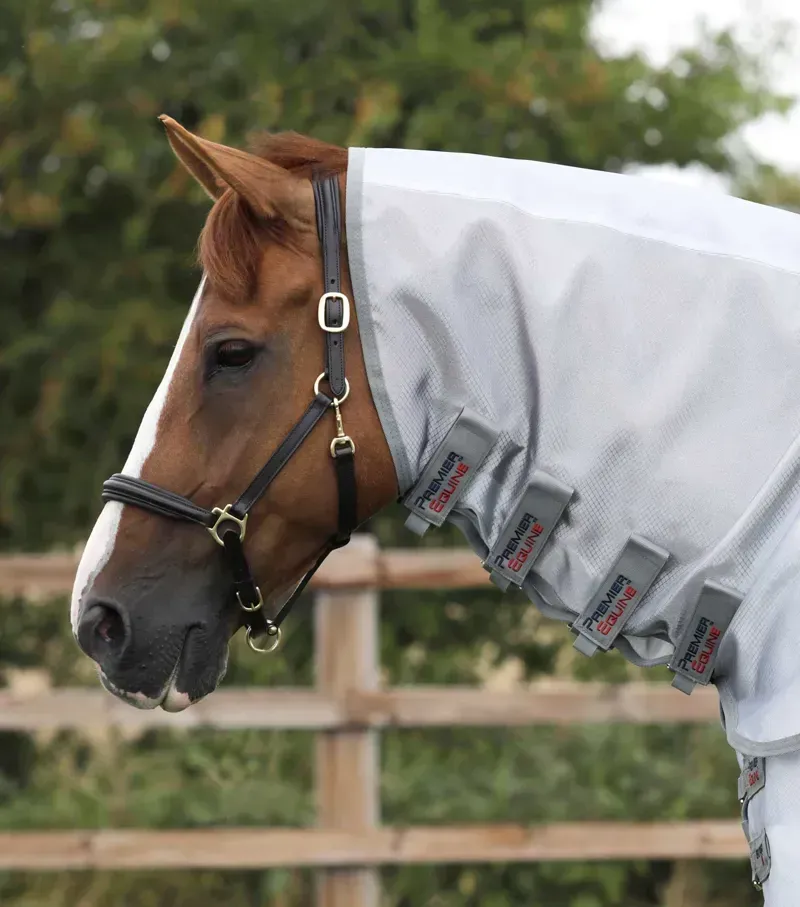 Premier Equine 5'0 Super Lite Fly Rug with Surcingles in Silver-1