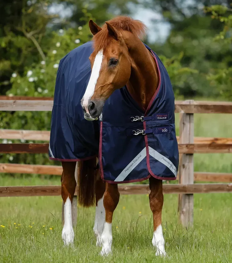 Titan 200g Original Turnout Rug / Navy