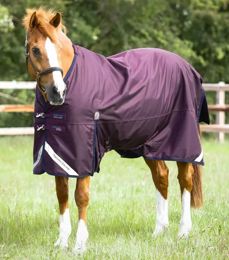 Premier Equine 200g Titan Original Turnout Rug in Purple