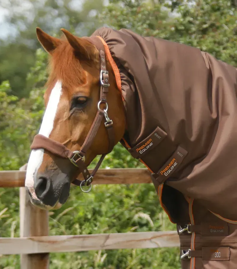 Premier Equine 300g Titan Turnout Rug With Snug-Fit Neck Cover in Brown-2