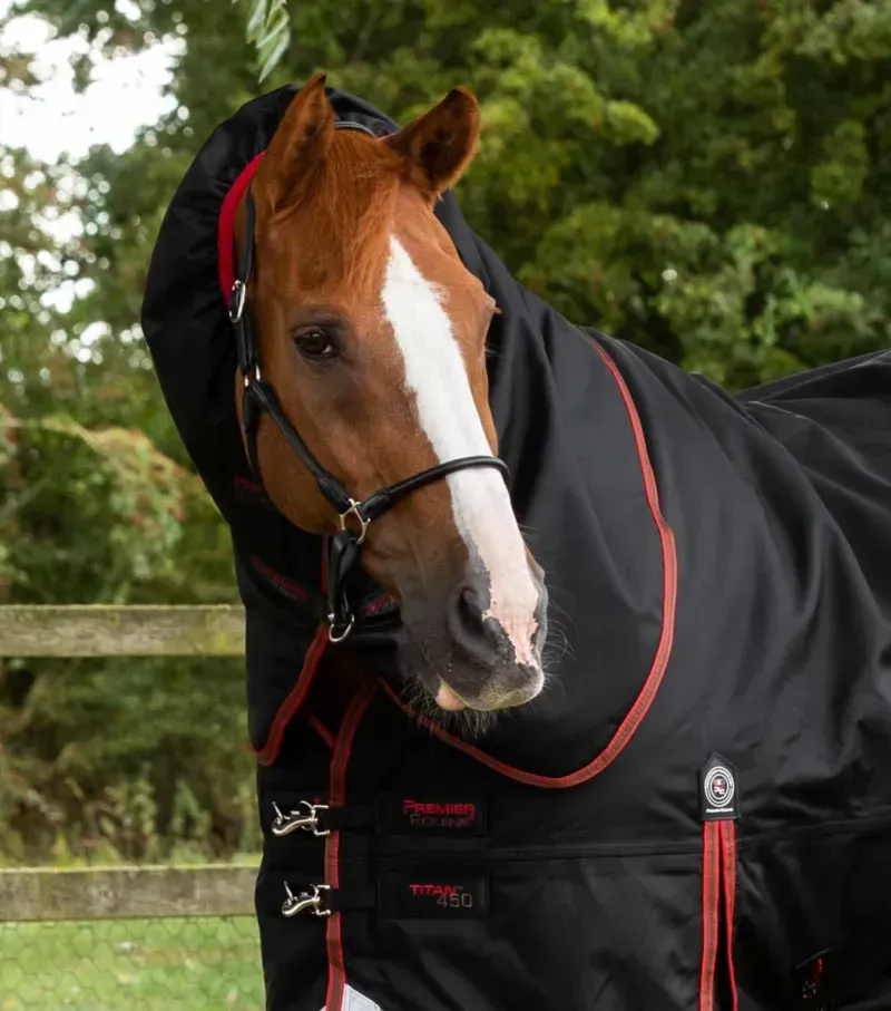 Premier Equine Titan 450g Turnout Rug With Snug-Fit Neck Cover in Black-1