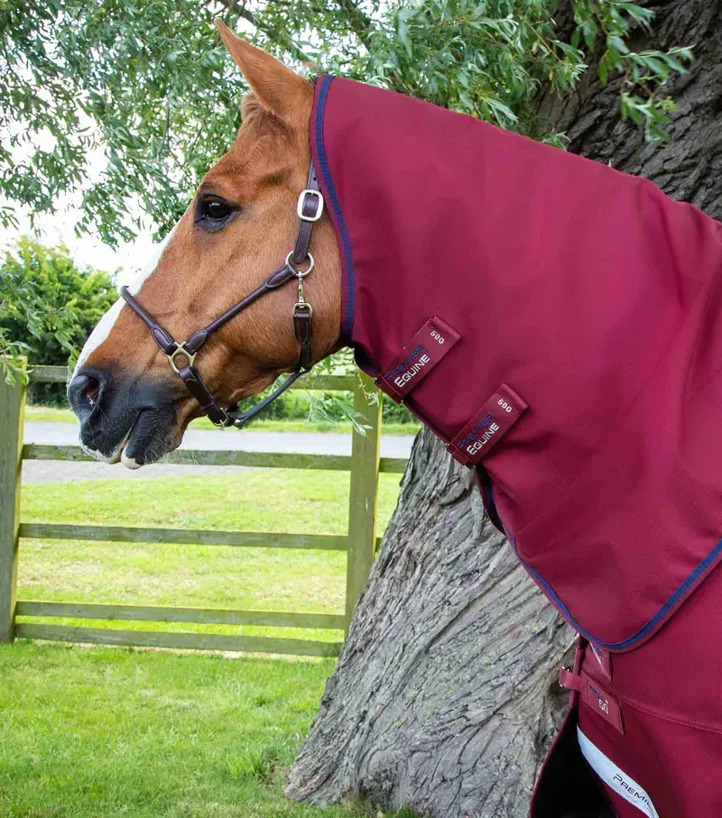 Premier Equine Titan 50g Turnout Rug With Classic Neck Cover in Burgundy-1