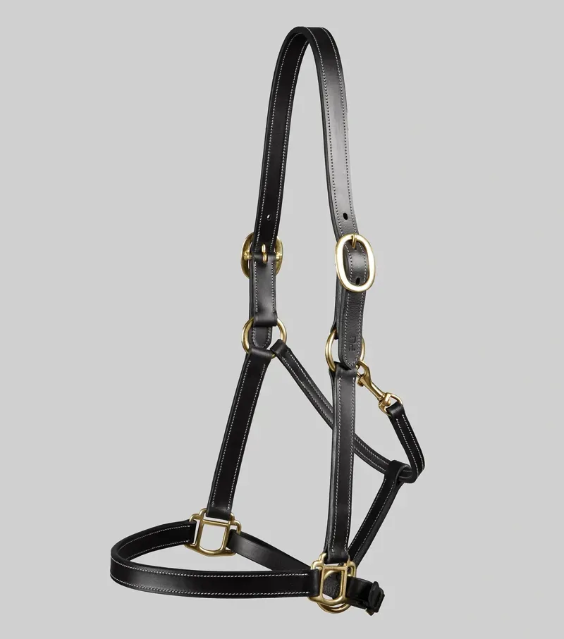 Premier Equine Int. Pony Traditional Leather Headcollar in Black