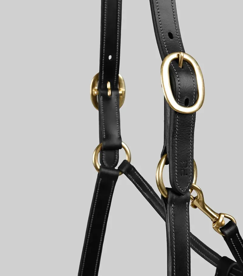 Premier Equine Int. Cob Traditional Leather Headcollar in Black-1