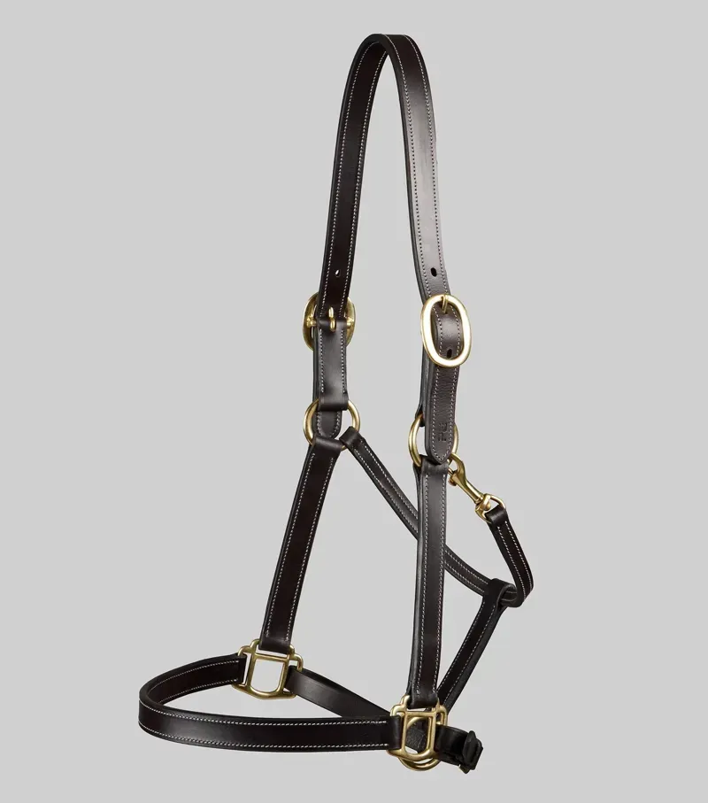 Premier Equine Int. Xtra-Full Traditional Leather Headcollar in Dark Havana