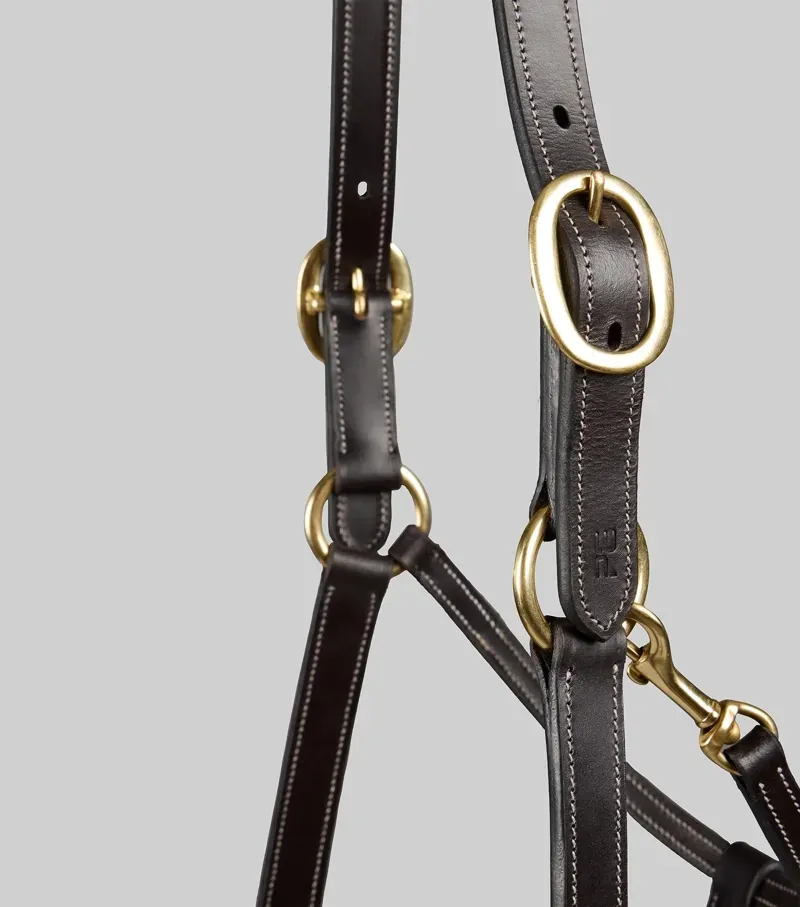 Premier Equine Int. Cob Traditional Leather Headcollar in Dark Havana-2