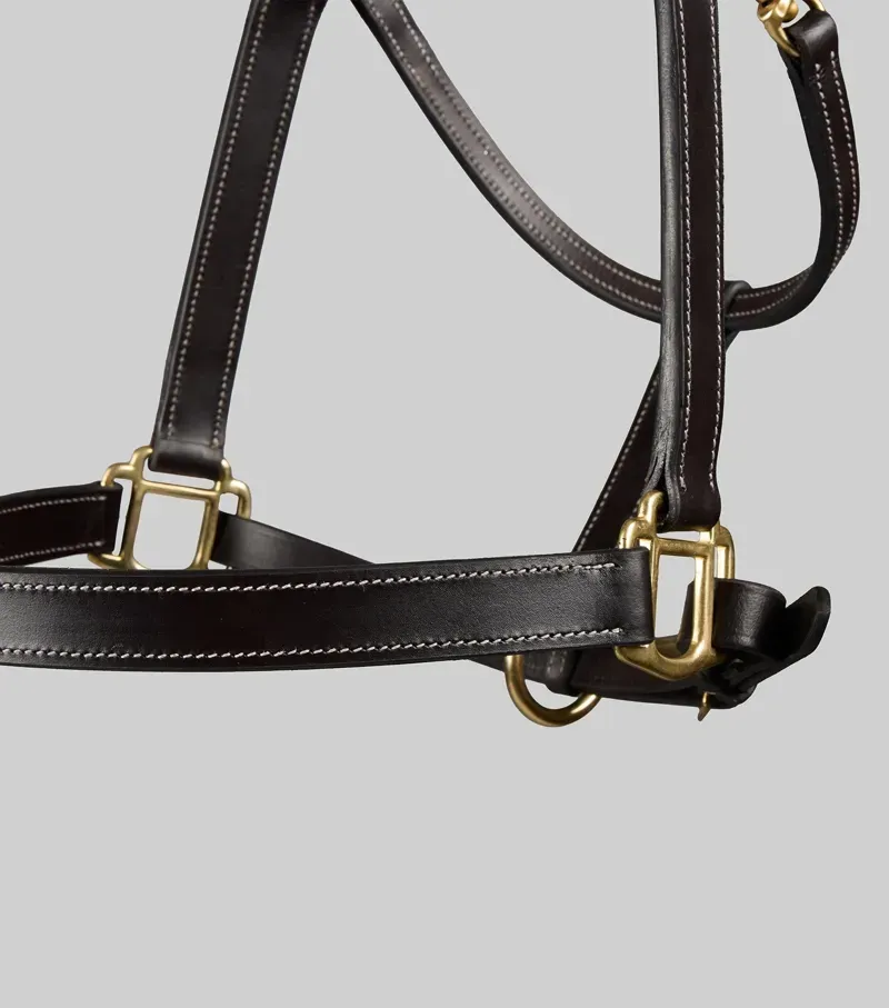 Premier Equine Int. Cob Traditional Leather Headcollar in Dark Havana-3