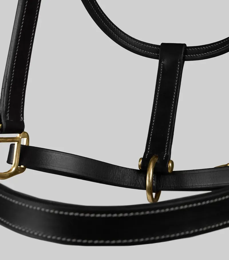 Premier Equine Int. Pony Traditional Leather Headcollar in Dark Havana-4