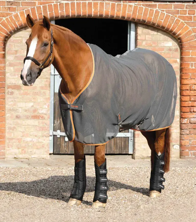 Premier Equine Travel-Tech Travel Boots in Black-1