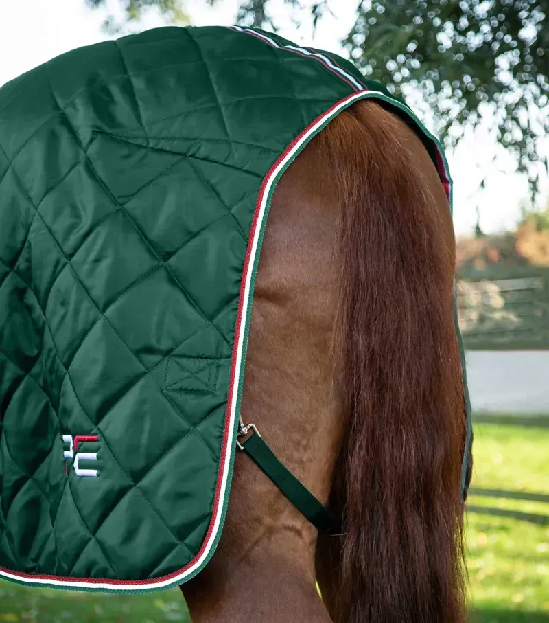 Premier Equine 100g Tuscan Stable Rug in Green-2