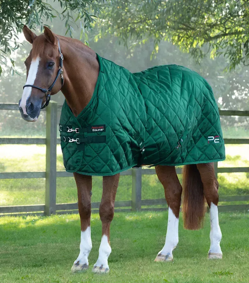 Premier Equine 200g Tuscan Stable Rug in Green