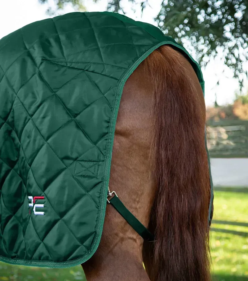 Premier Equine 200g Tuscan Stable Rug in Green-2