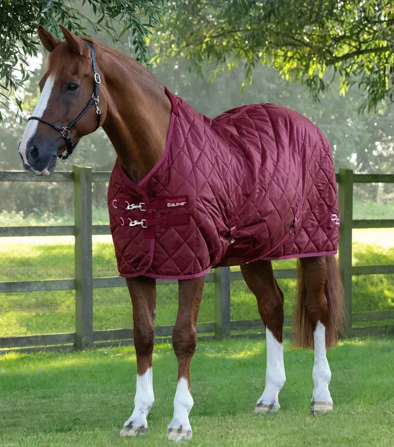 Premier Equine 200g Tuscan Stable Rug in Burgundy