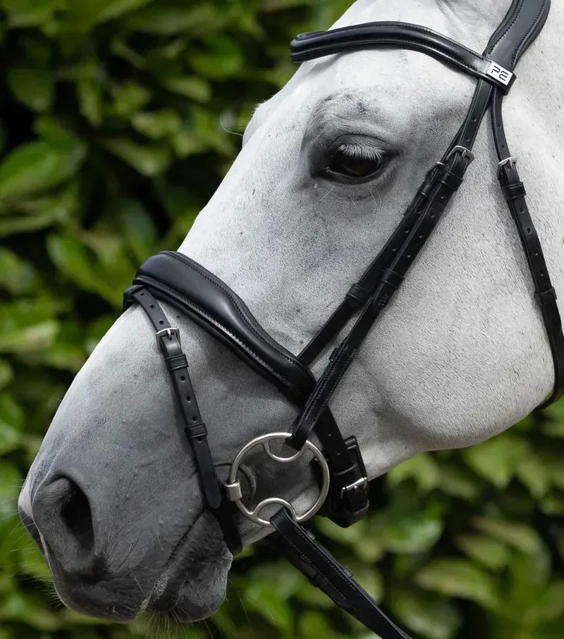 Premier Equine Cheek Pieces Pair in Black-1