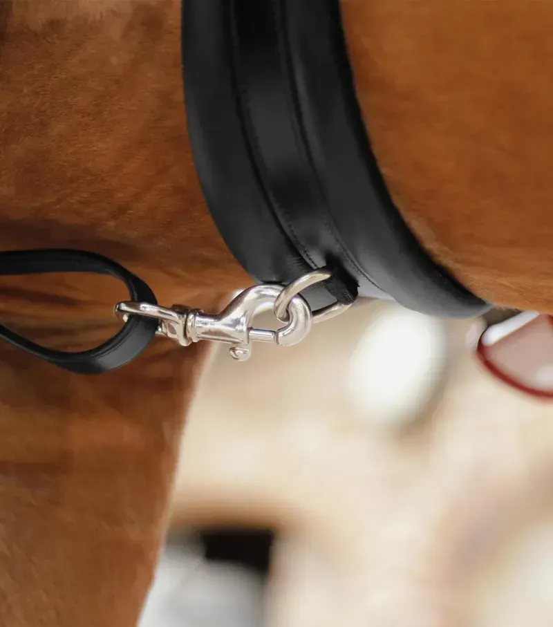 Premier Equine Valbrona Performance Breastplate in Black-2