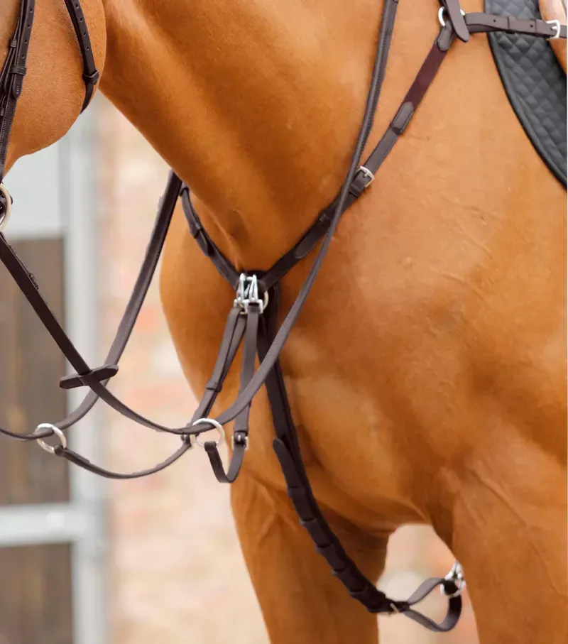 Premier Equine Valbrona Performance Breastplate in Brown