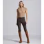 Premier Equine Int. Women's Size 28 Valerius Gel Full Seat Riding Breeches in Brown