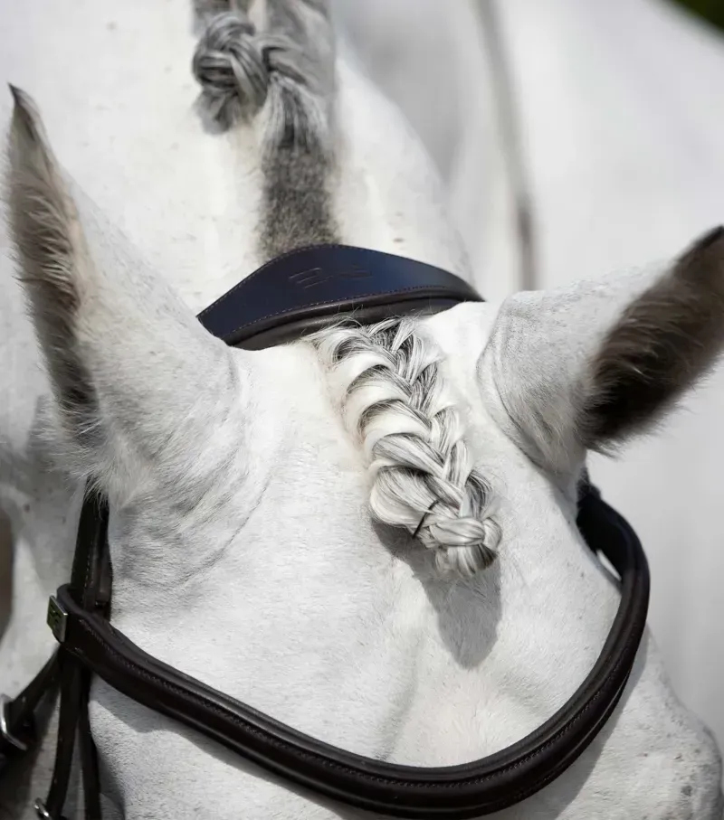 Premier Equine Cob Verdura Anatomic Snaffle Bridle in Black