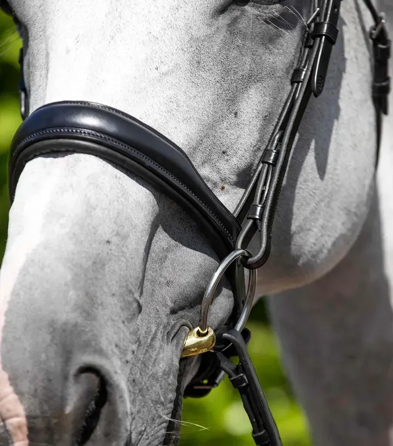 Premier Equine Cob Verdura Anatomic Snaffle Bridle in Black-2