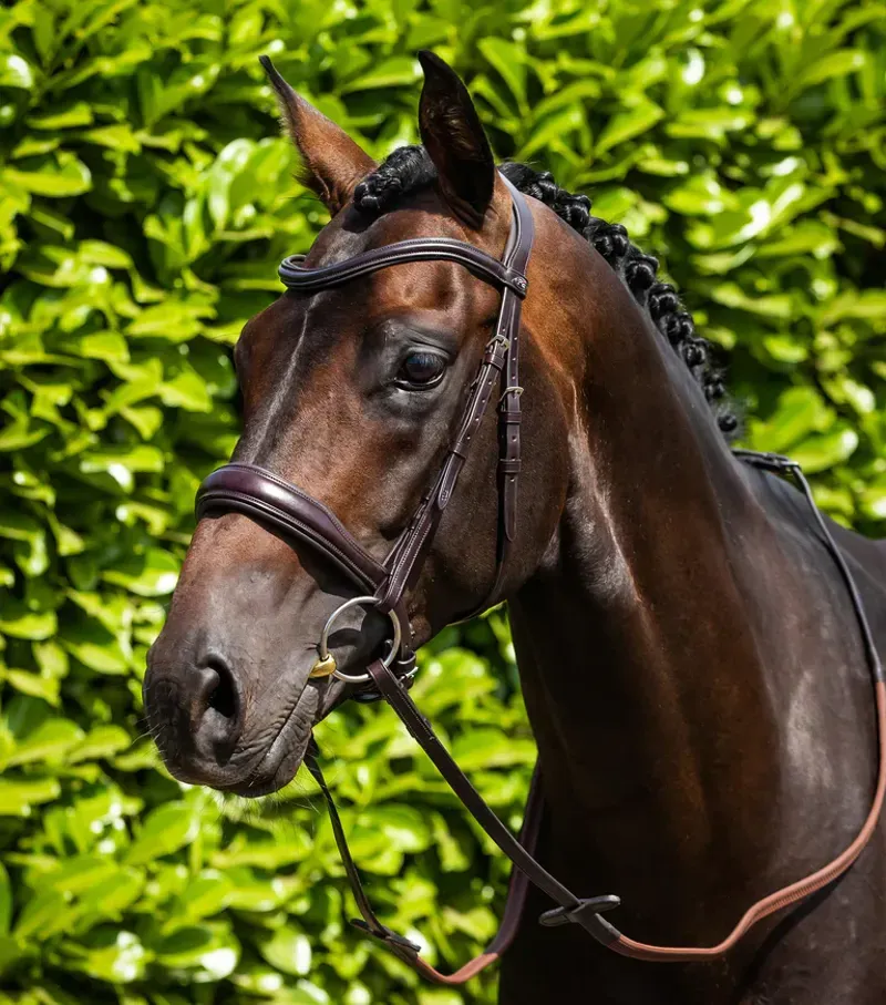 Liscio Plain Shaped Leather Browband / Brown-1