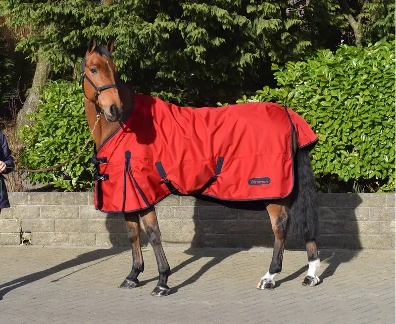 Whitaker Rastrick No-Fill Turnout Rug in Red