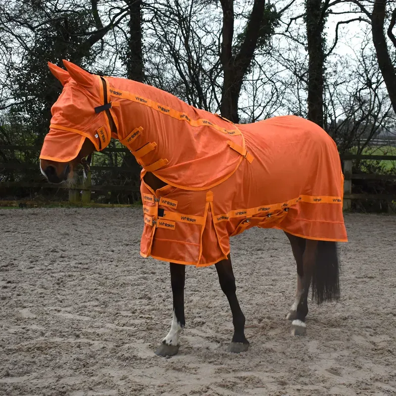 Whitaker Swot Fly Rug and Mask - ORANGE