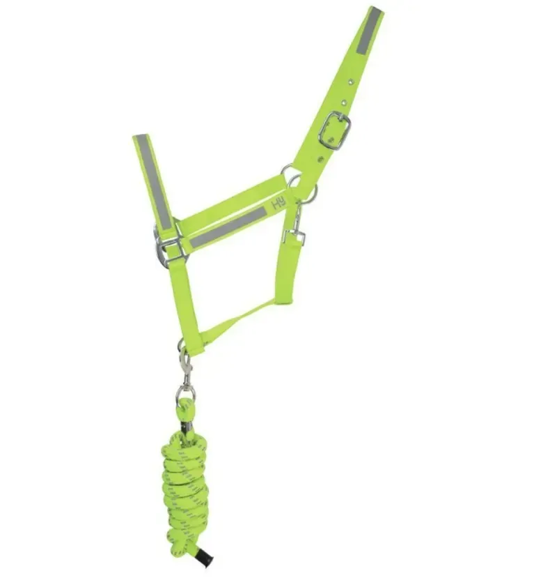 Hy Viz Reflector Head Collar and Lead Rope in Yellow