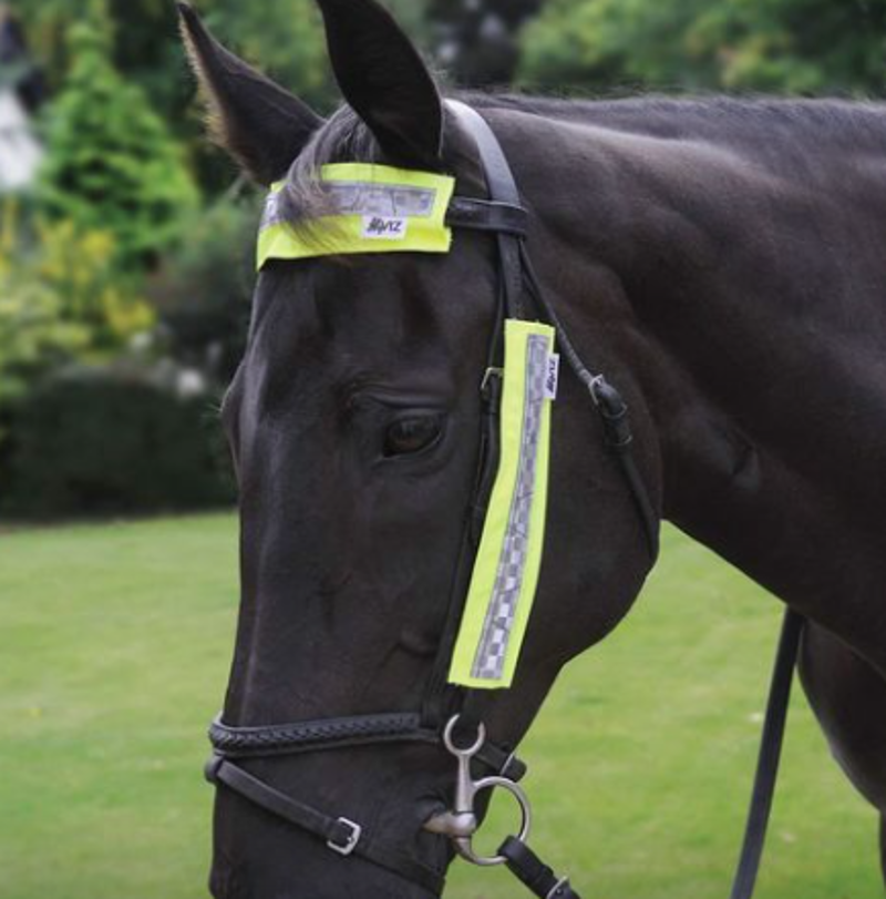 Hy Viz 3-piece Bridle Set in Yellow
